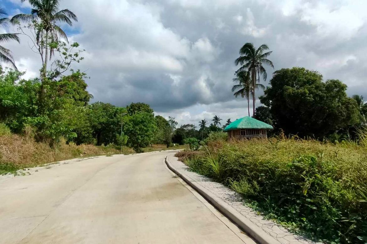 Land for Sale in Mangas I, Alfonso, Cavite – photo 4