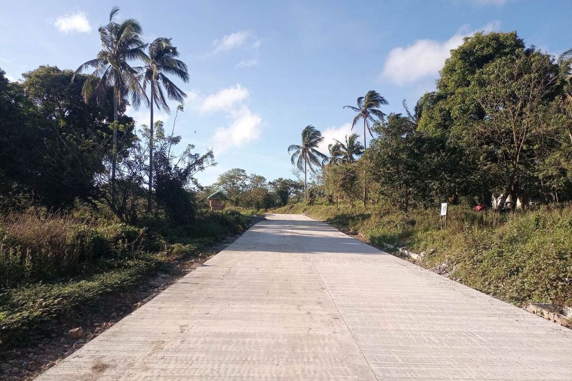 Land for Sale in Mangas I, Alfonso, Cavite – photo 5