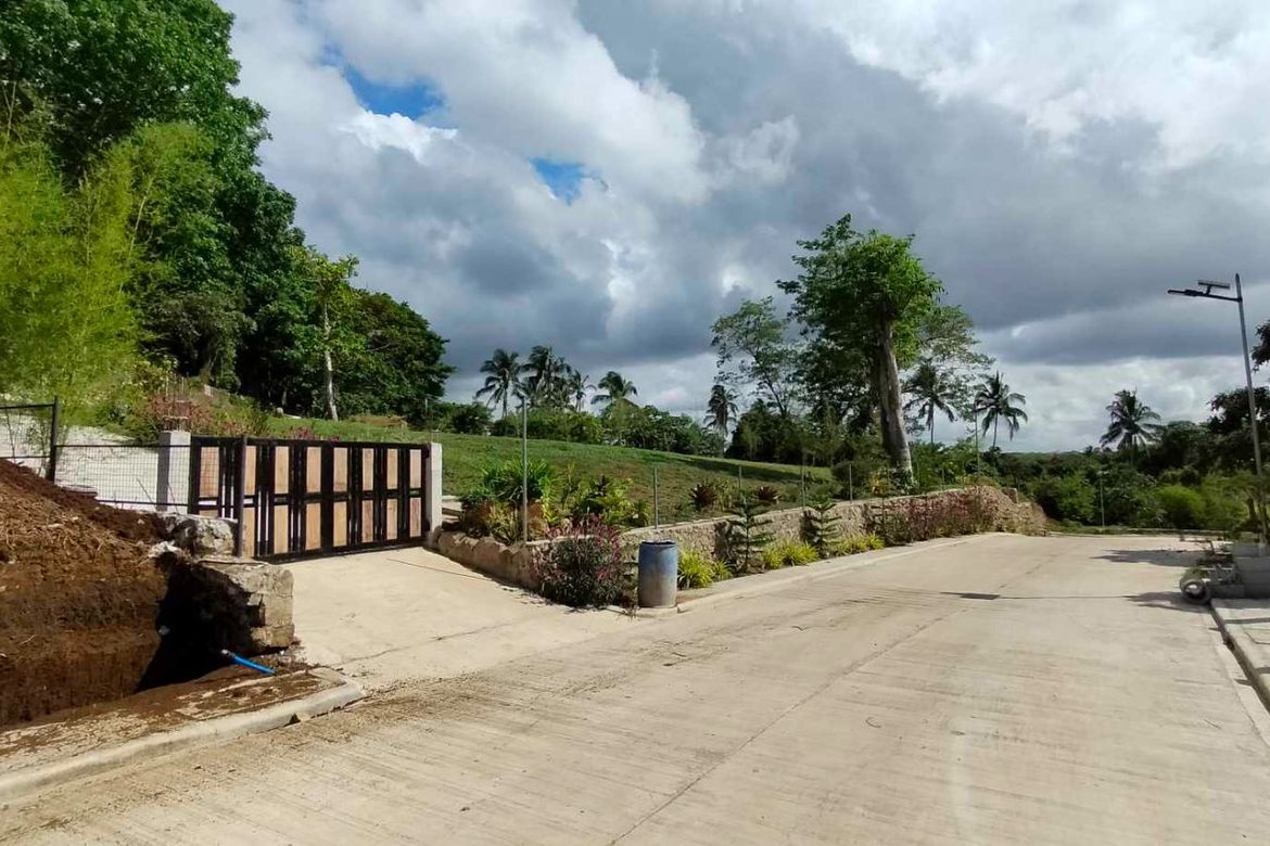 Land for Sale in Mangas I, Alfonso, Cavite – photo 7