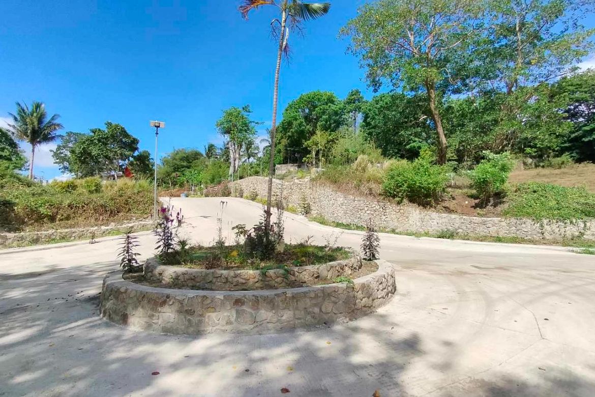 Land for Sale in Mangas I, Alfonso, Cavite – photo 8