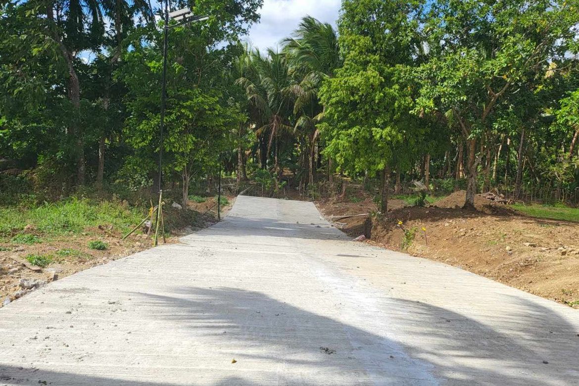 Land for Sale in Mangas I, Alfonso, Cavite – photo 6