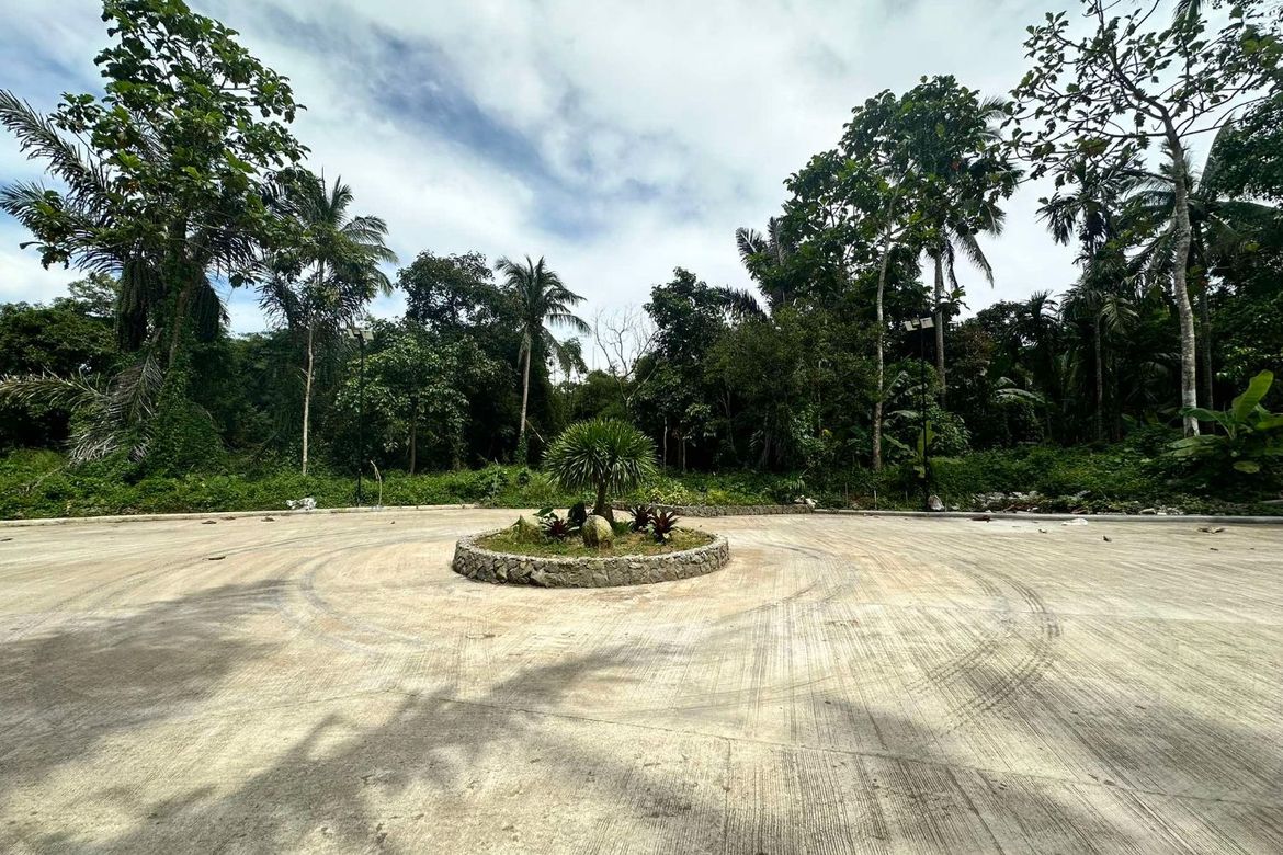 Land for Sale in Mangas I, Alfonso, Cavite – photo 7