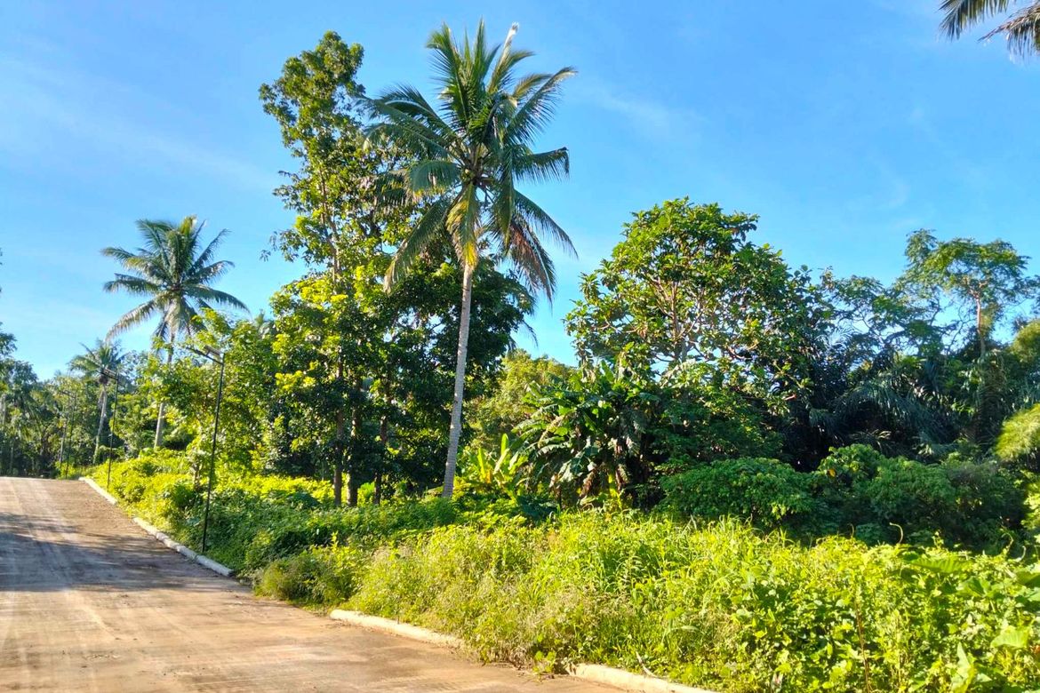 Land for Sale in Mangas I, Alfonso, Cavite – photo 8