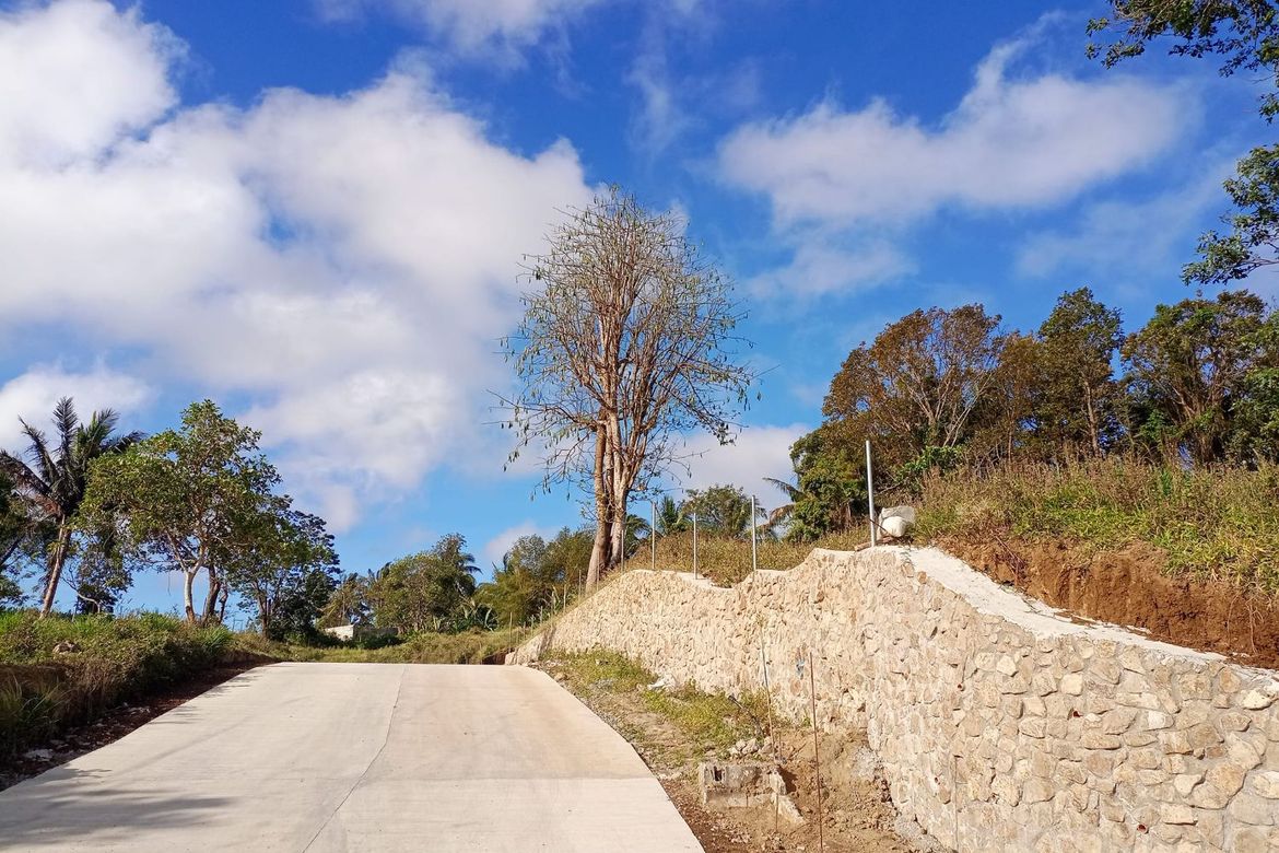 Land for Sale in Mangas I, Alfonso, Cavite