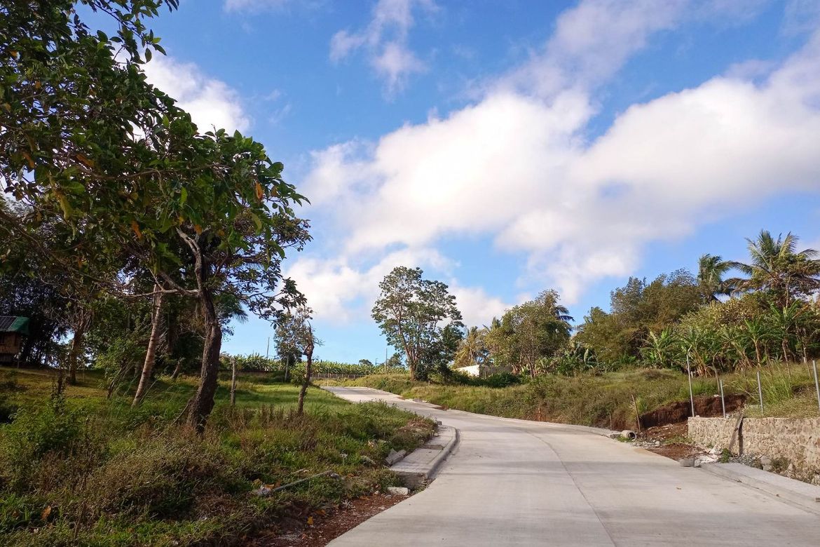Land for Sale in Mangas I, Alfonso, Cavite