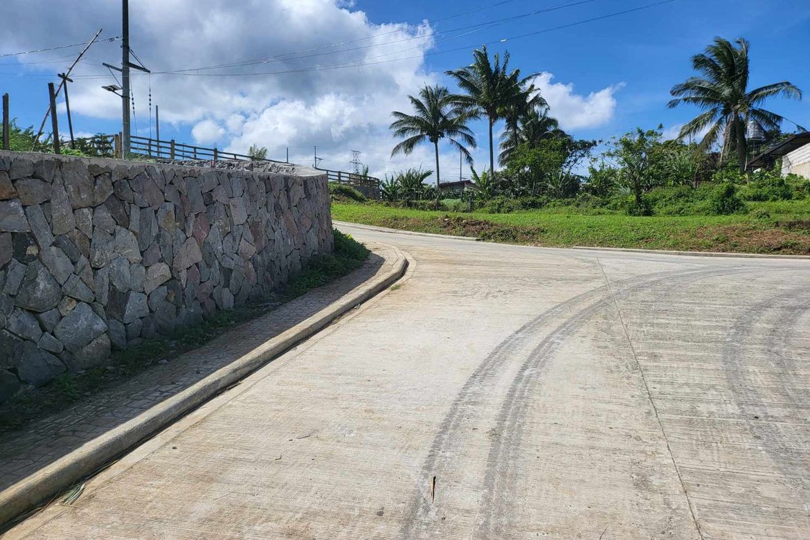 Land for Sale in Mangas I, Alfonso, Cavite – photo 2