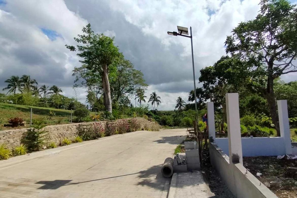 Land for Sale in Mangas I, Alfonso, Cavite – photo 6