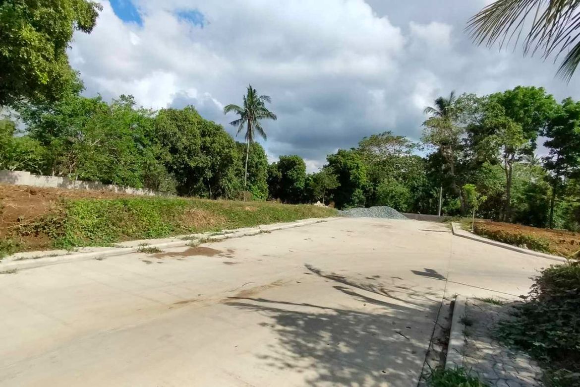Land for Sale in Mangas I, Alfonso, Cavite – photo 7