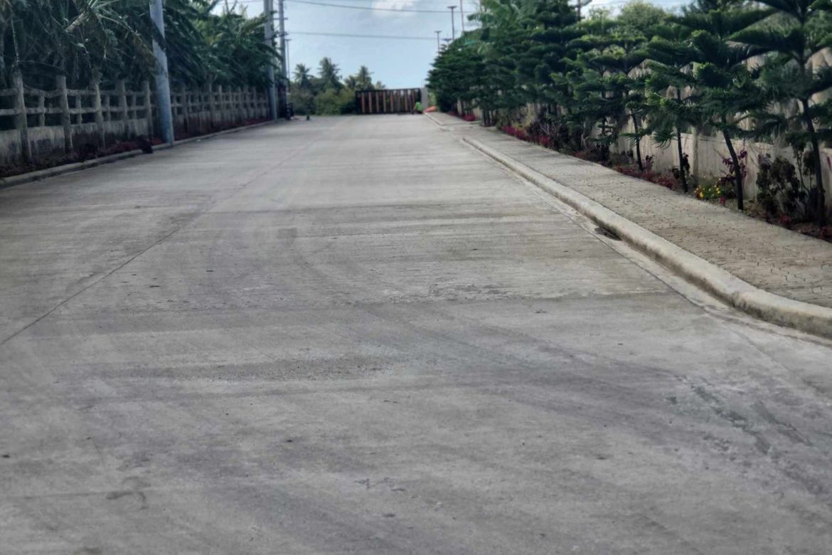Land for Sale in Mangas I, Alfonso, Cavite – photo 8