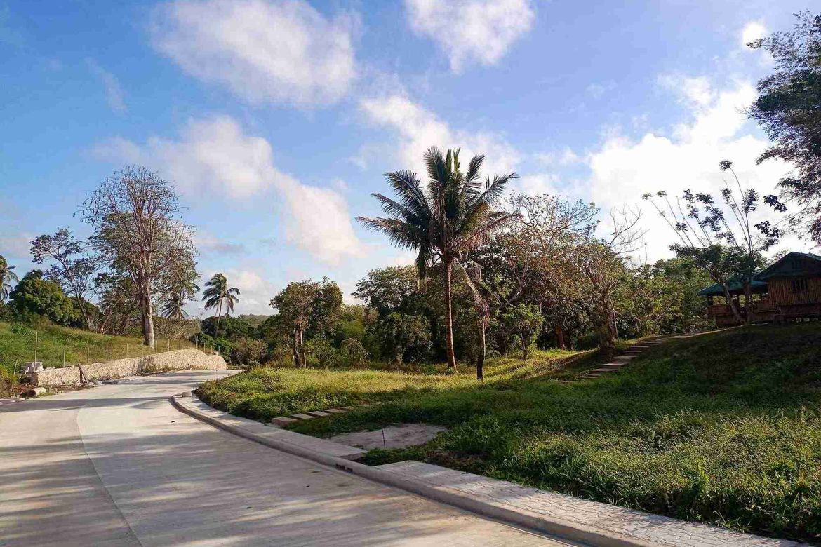 Land for Sale in Mangas I, Alfonso, Cavite – photo 3
