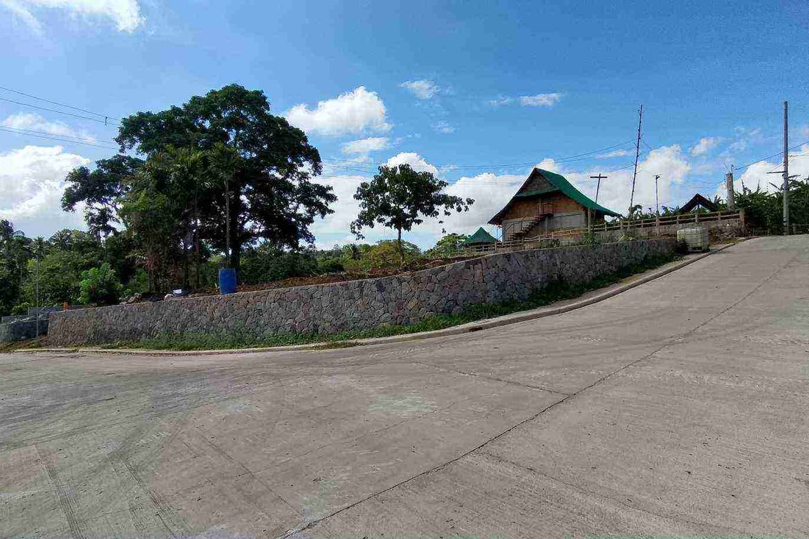 Land for Sale in Mangas I, Alfonso, Cavite – photo 4