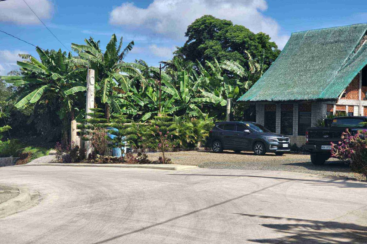 Land for Sale in Mangas I, Alfonso, Cavite – photo 5