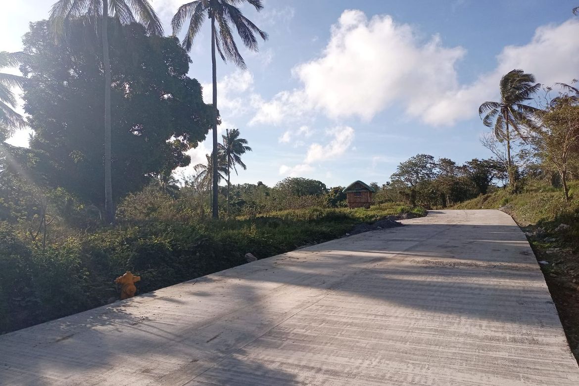 Land for Sale in Mangas I, Alfonso, Cavite – photo 3