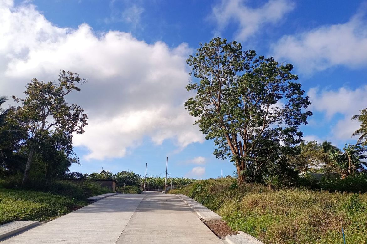 Land for Sale in Mangas I, Alfonso, Cavite – photo 4