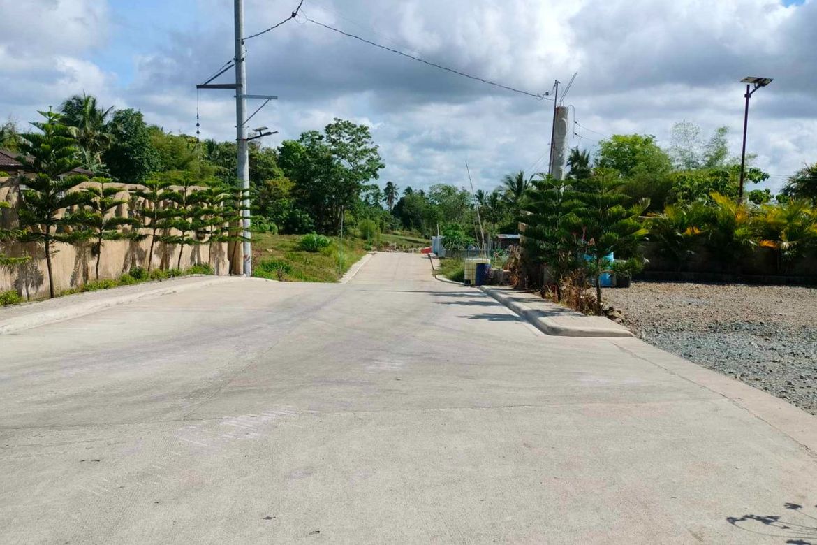 Land for Sale in Mangas I, Alfonso, Cavite – photo 7