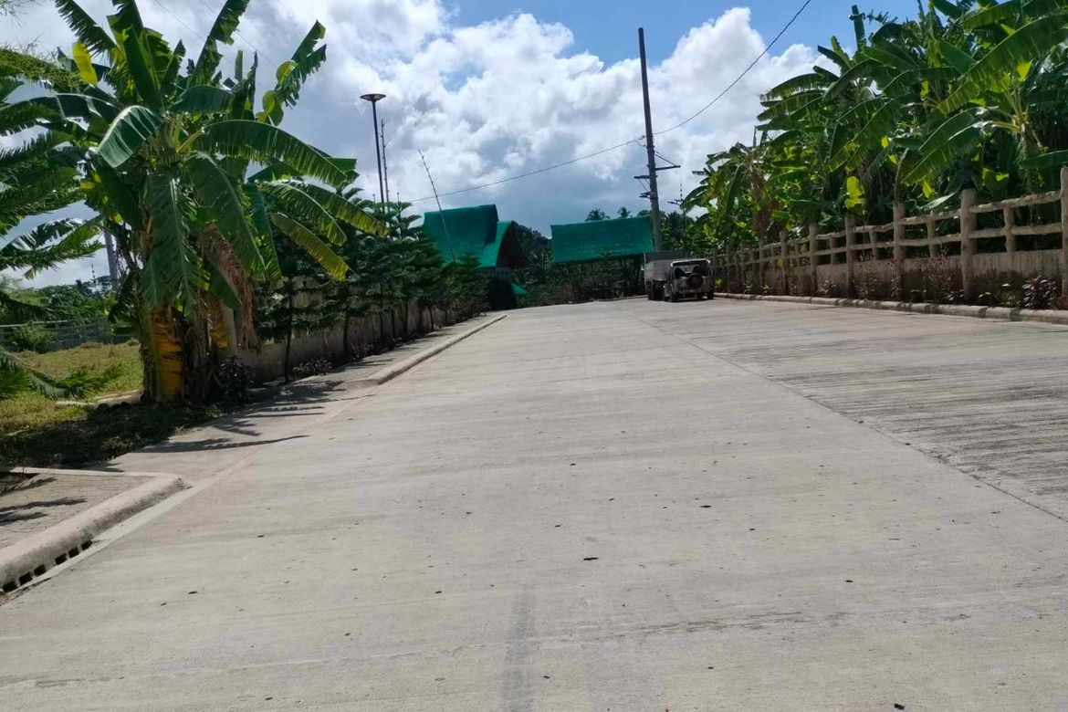 Land for Sale in Mangas I, Alfonso, Cavite – photo 8