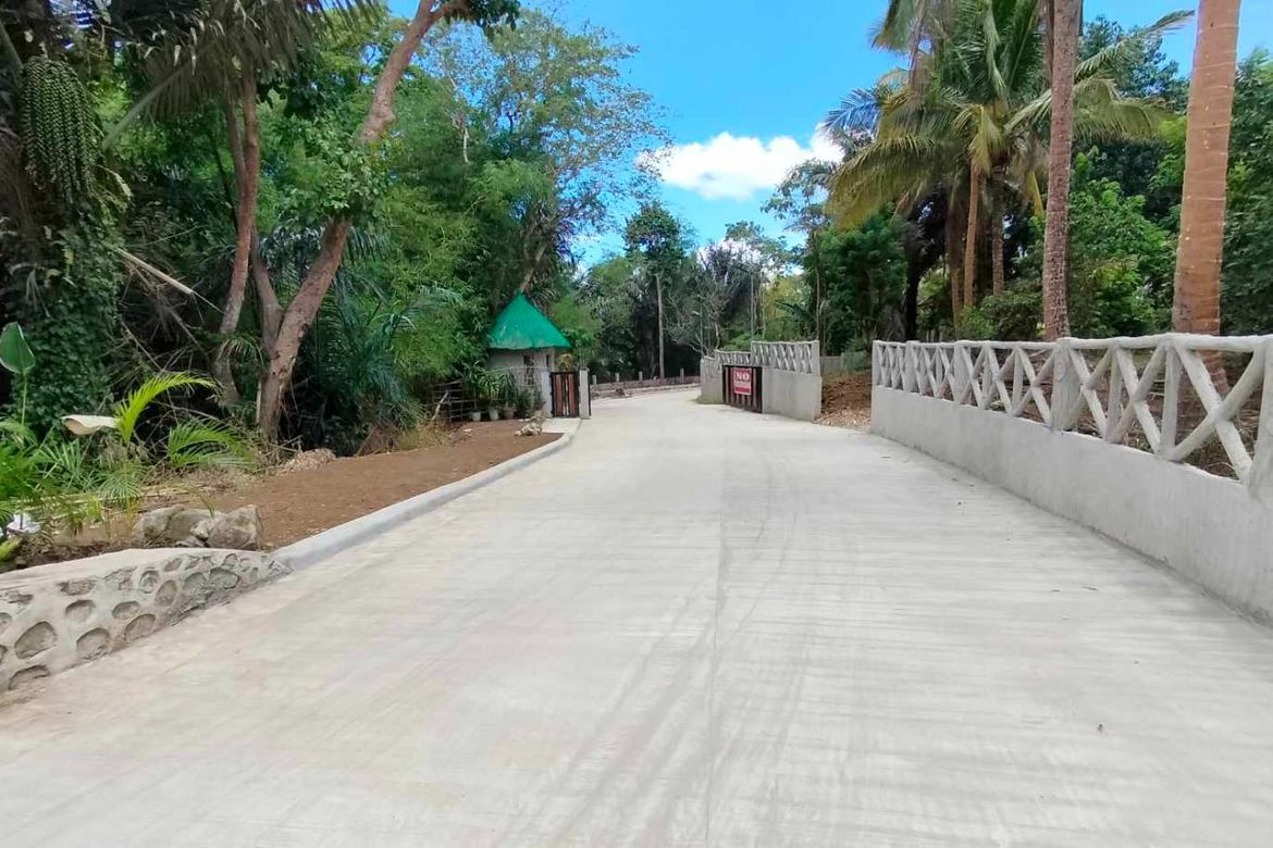 Land for Sale in Mangas I, Alfonso, Cavite