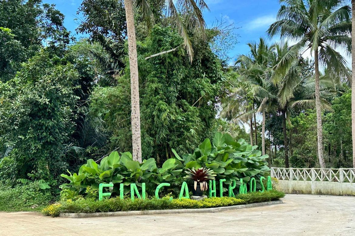 Land for Sale in Mangas I, Alfonso, Cavite – photo 4