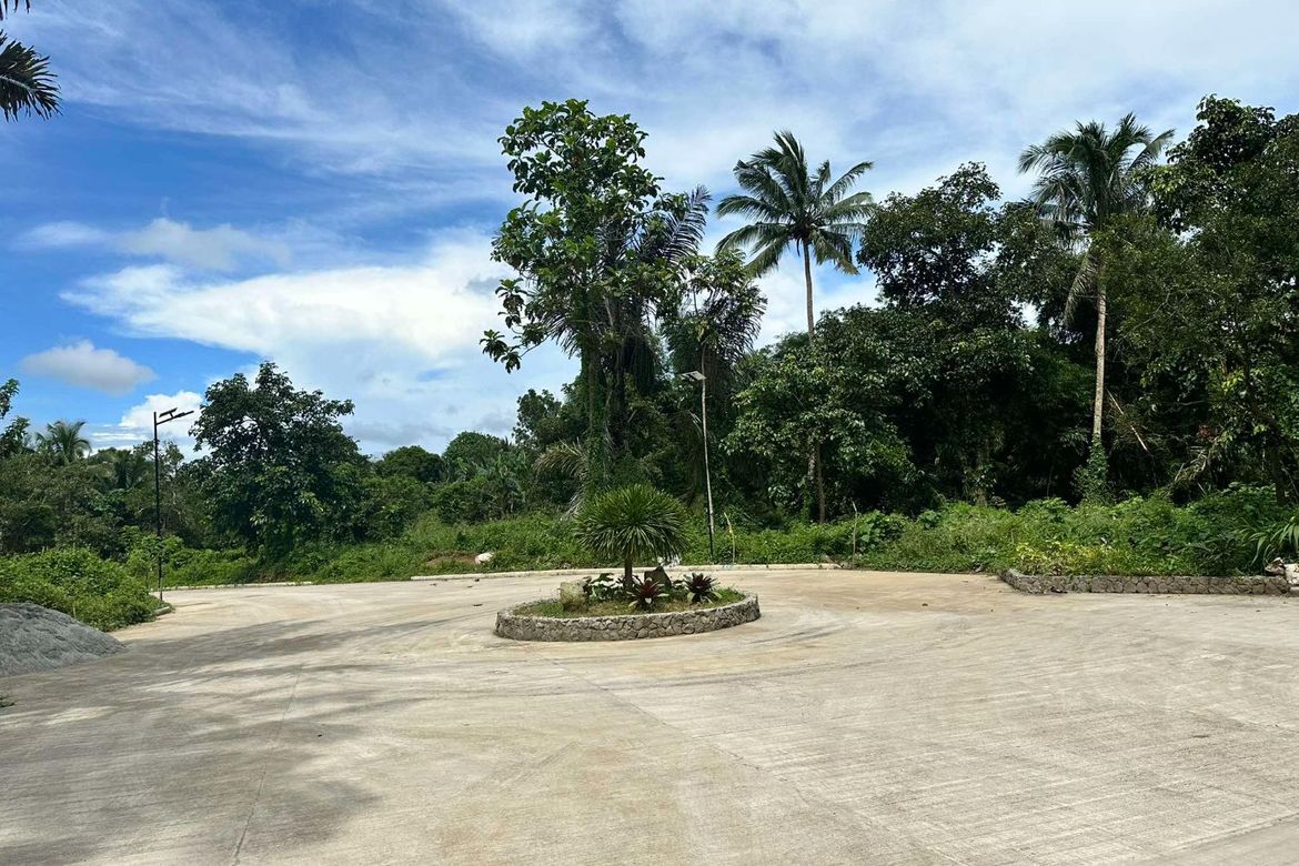 Land for Sale in Mangas I, Alfonso, Cavite – photo 5