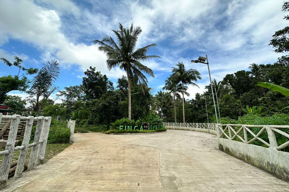 Land for Sale in Mangas I, Alfonso, Cavite – photo 6