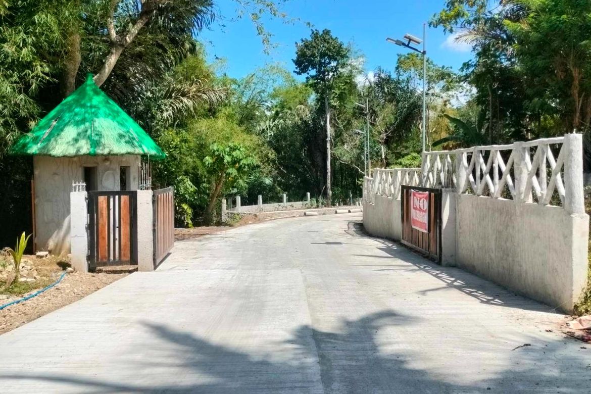 Land for Sale in Mangas I, Alfonso, Cavite – photo 7