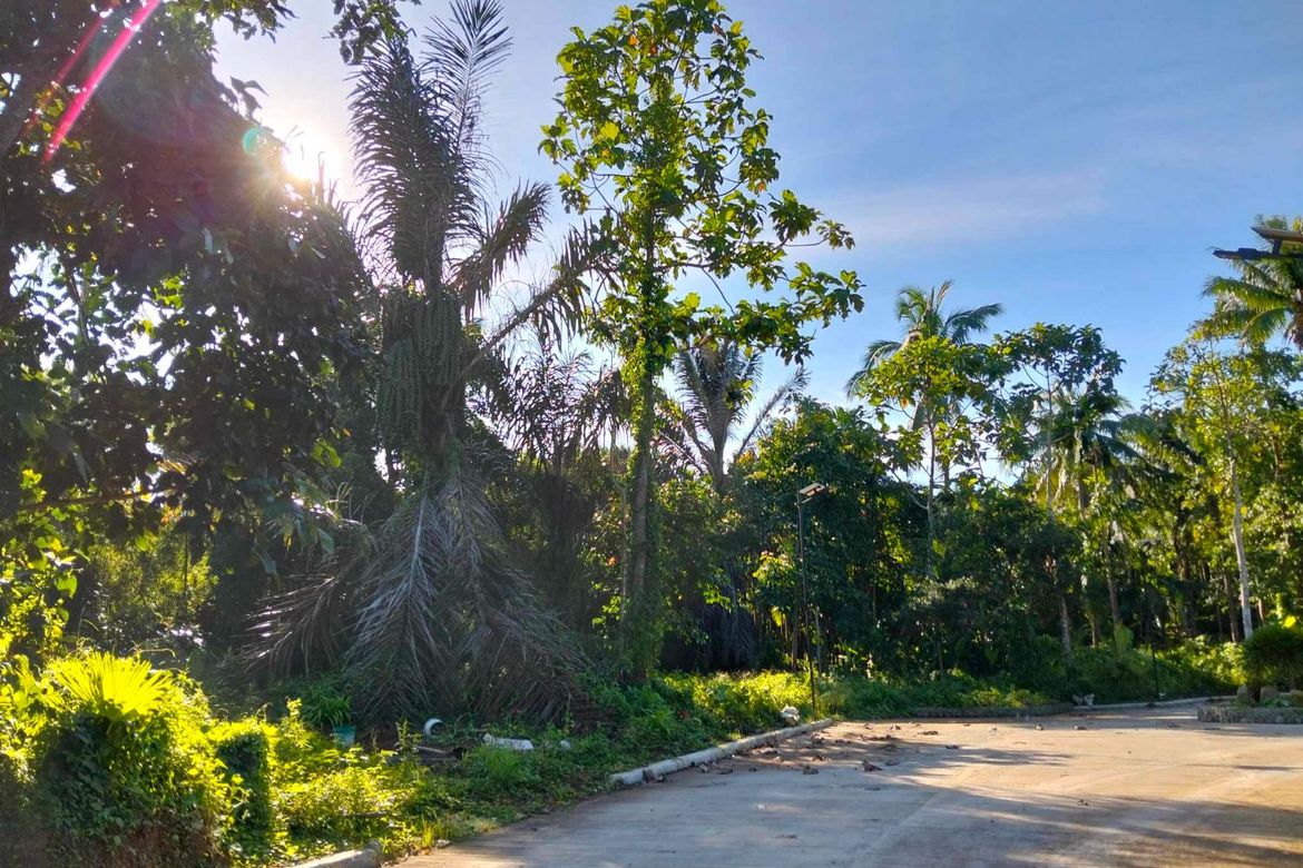 Land for Sale in Mangas I, Alfonso, Cavite – photo 7
