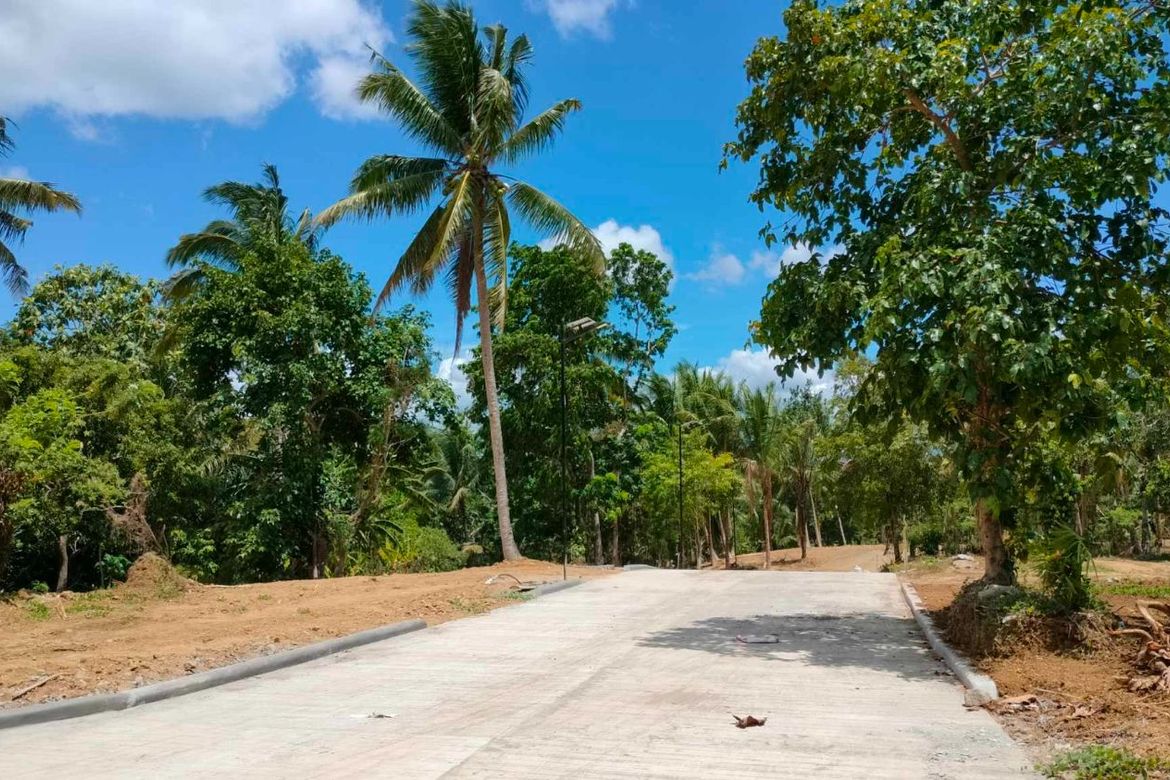 Land for Sale in Mangas I, Alfonso, Cavite – photo 5