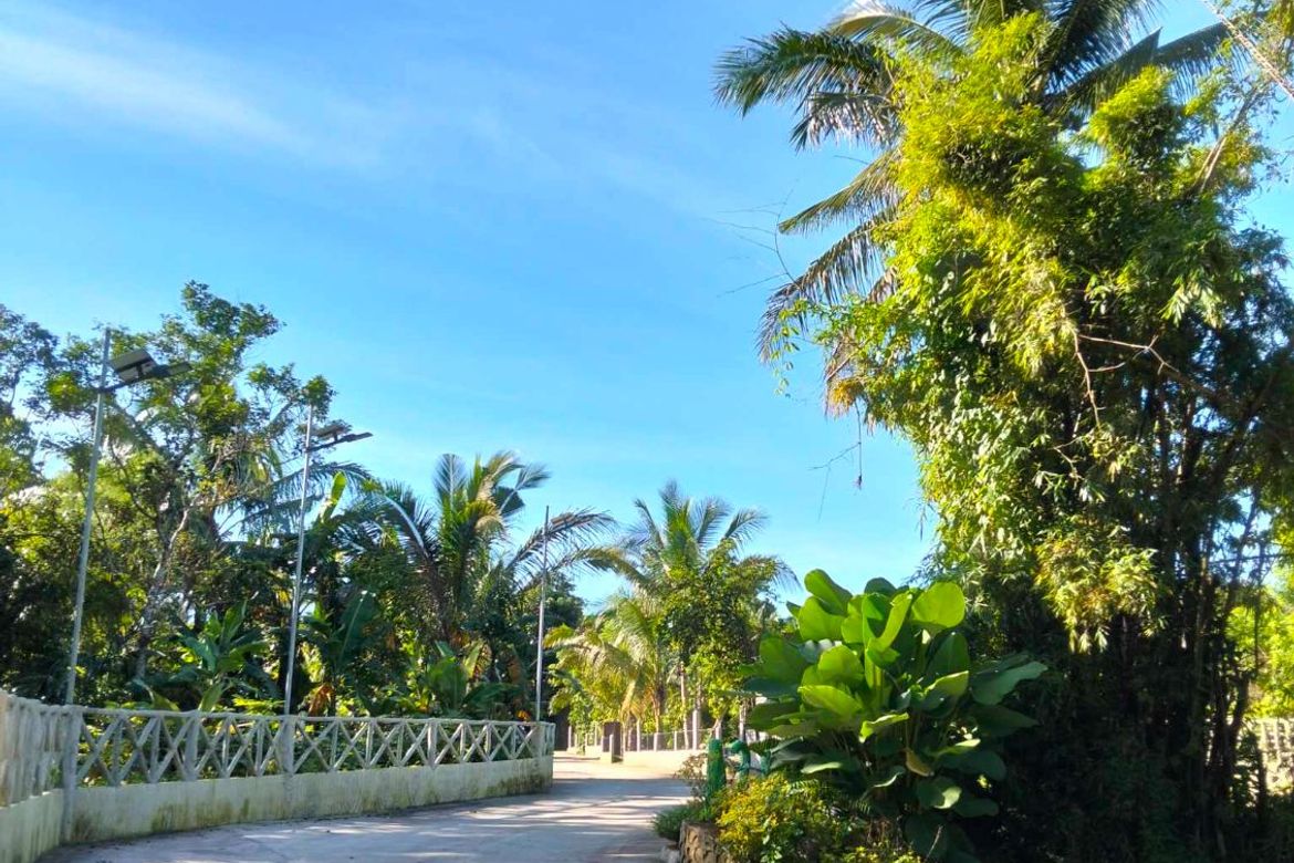 Land for Sale in Mangas I, Alfonso, Cavite – photo 8