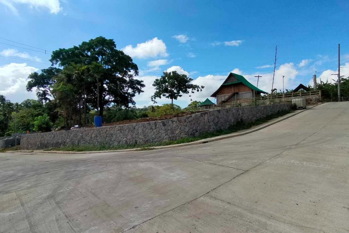 Land for Sale in Mangas I, Alfonso, Cavite
