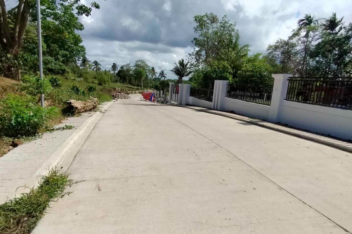 Land for Sale in Mangas I, Alfonso, Cavite – photo 2