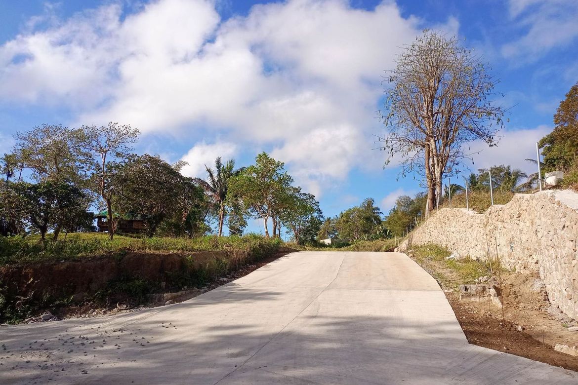 Land for Sale in Mangas I, Alfonso, Cavite – photo 3