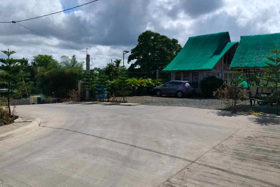 Land for Sale in Mangas I, Alfonso, Cavite – photo 4