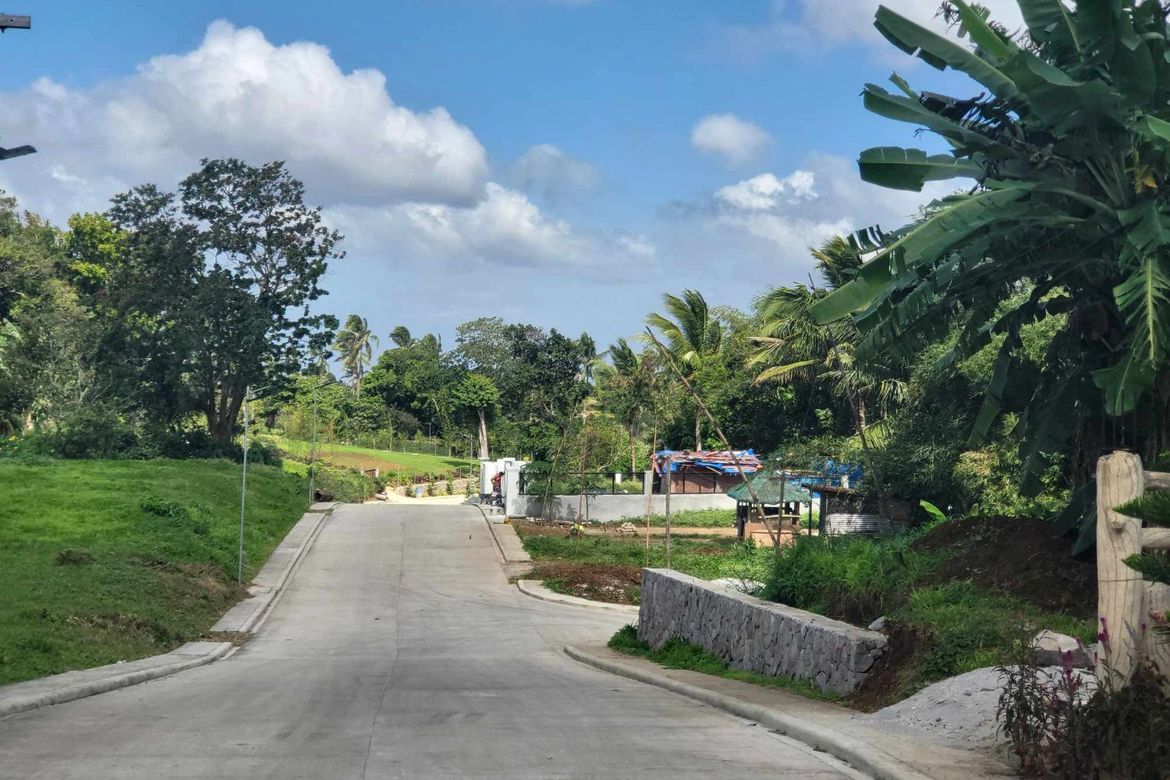 Land for Sale in Mangas I, Alfonso, Cavite – photo 6