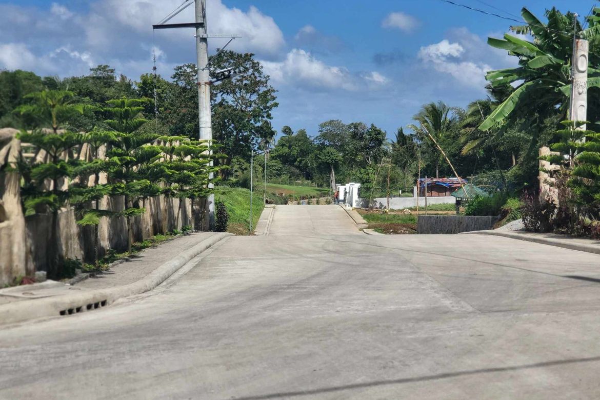 Land for Sale in Mangas I, Alfonso, Cavite – photo 7