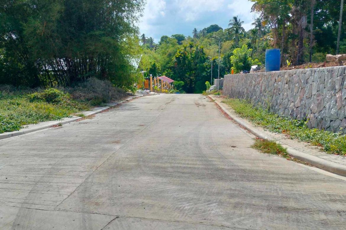 Land for Sale in Mangas I, Alfonso, Cavite – photo 8