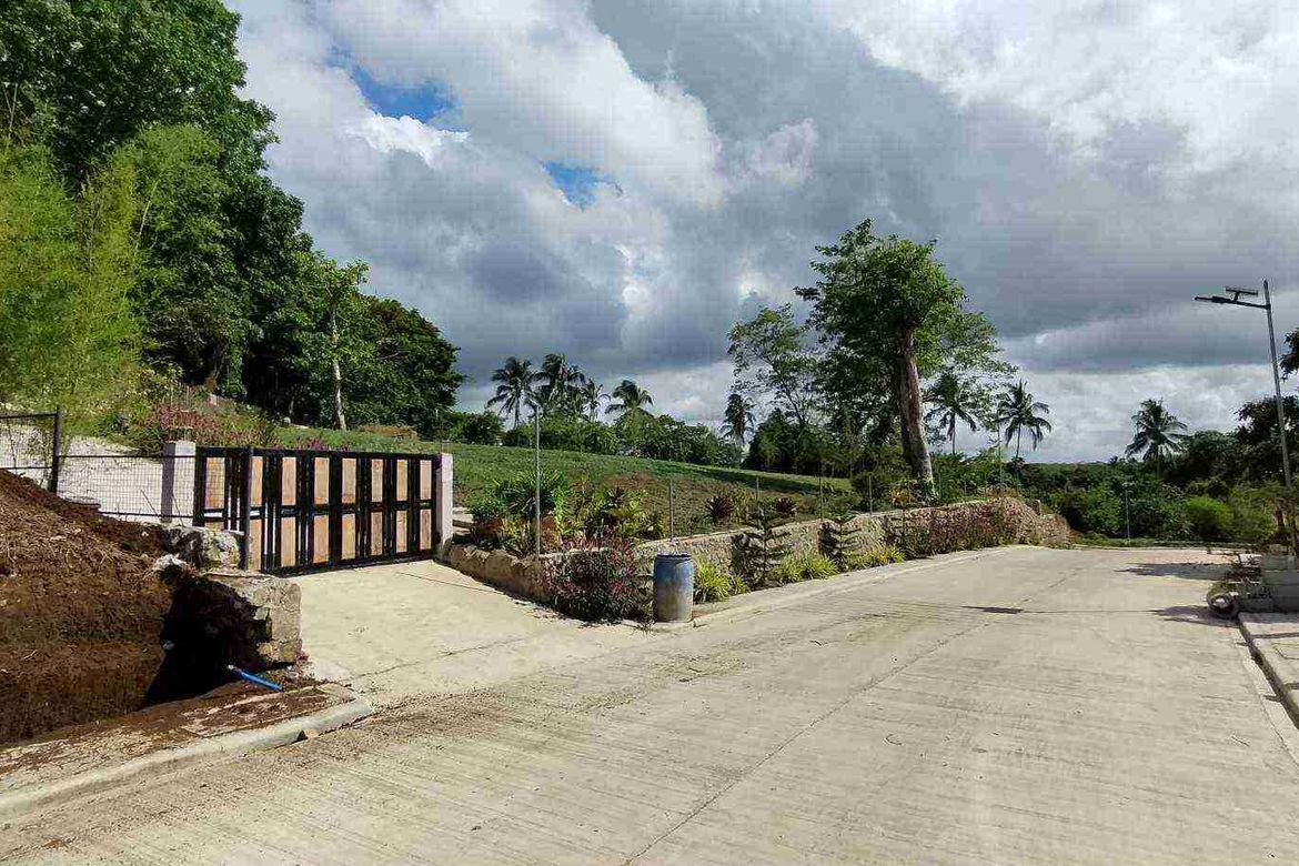 Land for Sale in Mangas I, Alfonso, Cavite – photo 4