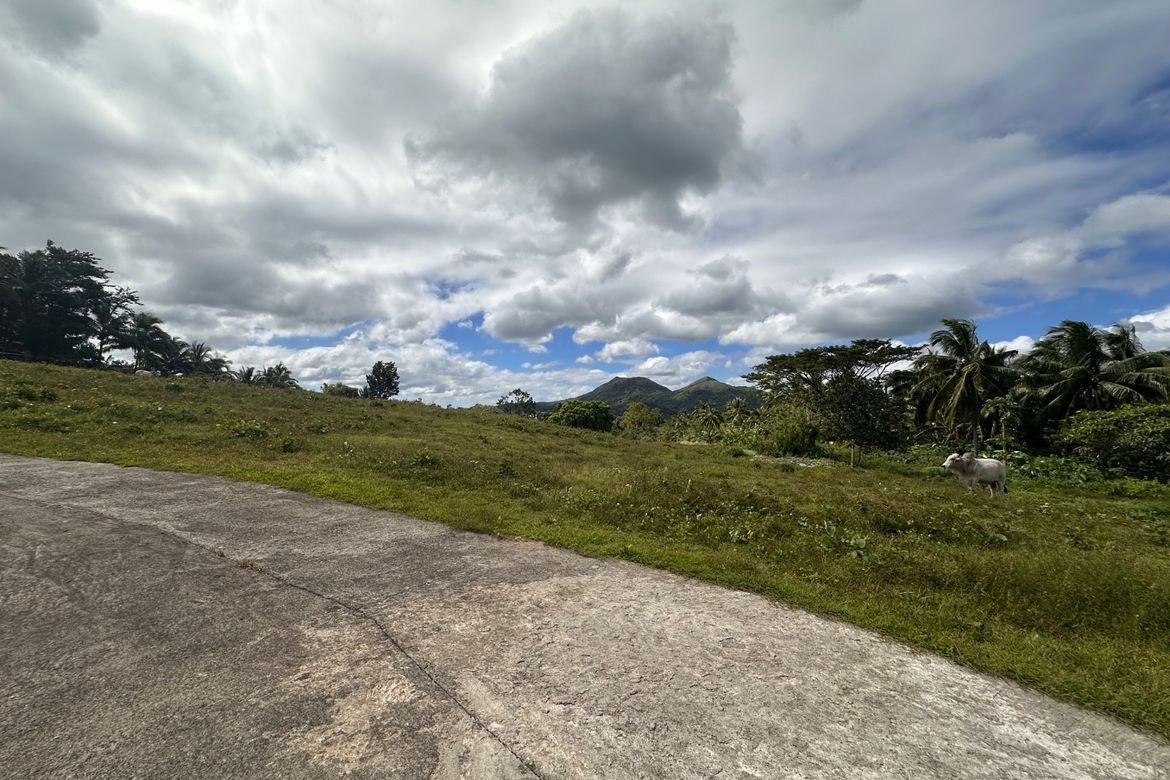 Land for Sale in Mangas I, Alfonso, Cavite – photo 3