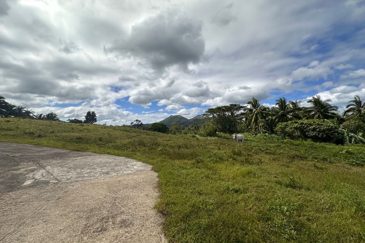 Land for Sale in Mangas I, Alfonso, Cavite – photo 4