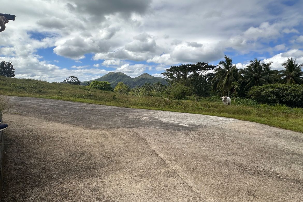 Land for Sale in Mangas I, Alfonso, Cavite – photo 6