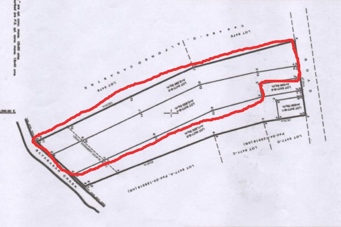 Land for Sale in Mangas I, Alfonso, Cavite – photo 2