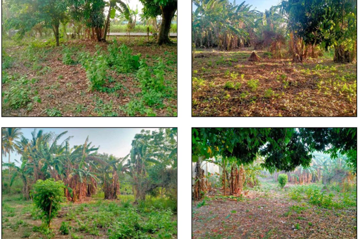 Land for Sale in Mangas I, Alfonso, Cavite – photo 3