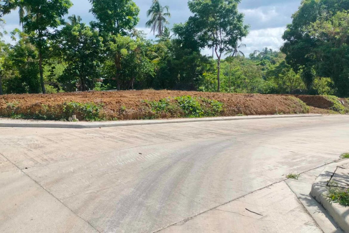 Land for Sale in Mangas I, Alfonso, Cavite – photo 7