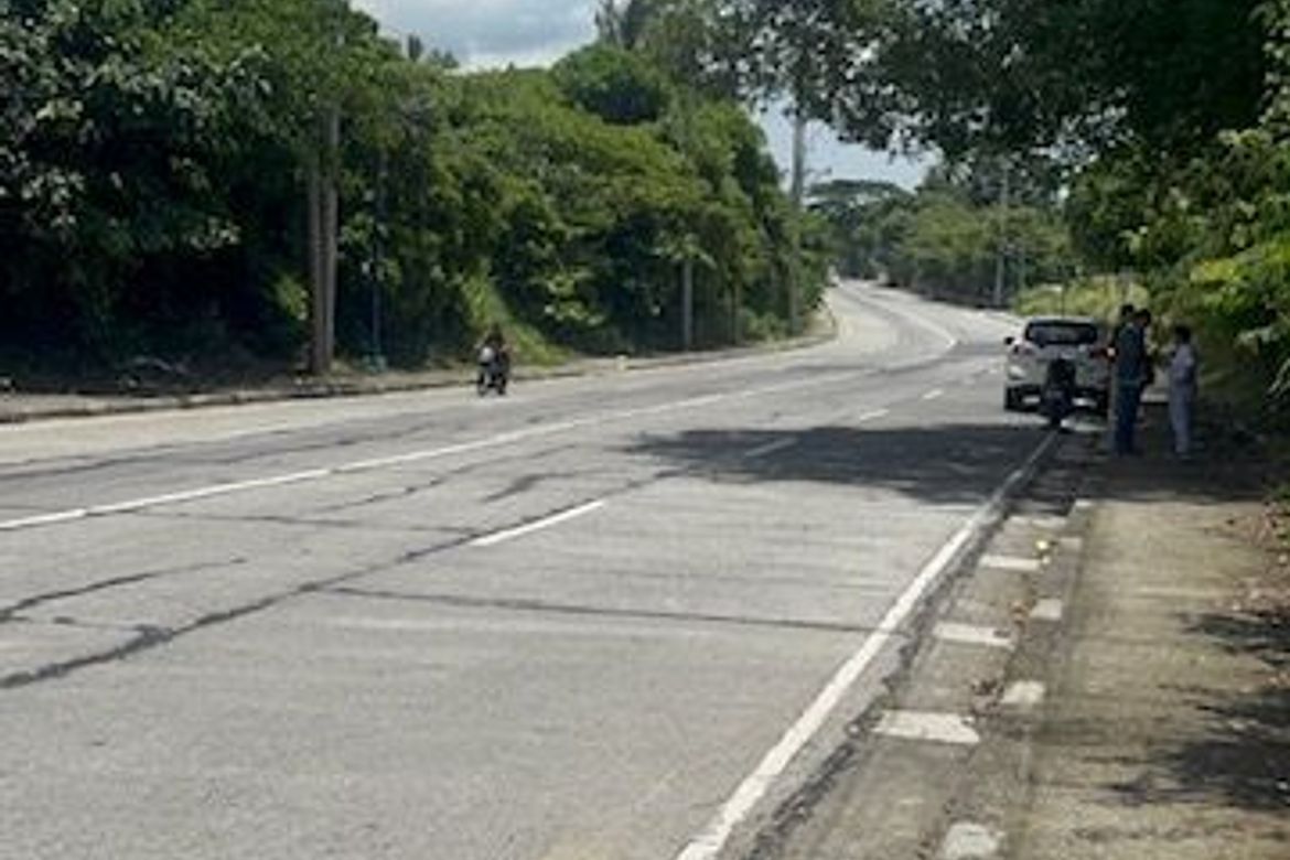 Land for Sale in Mangas I, Alfonso, Cavite
