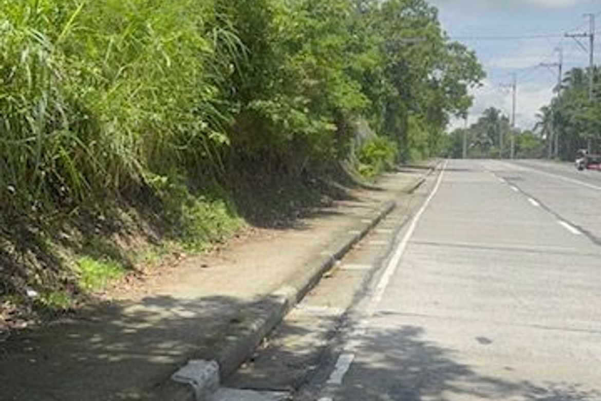 Land for Sale in Mangas I, Alfonso, Cavite – photo 3