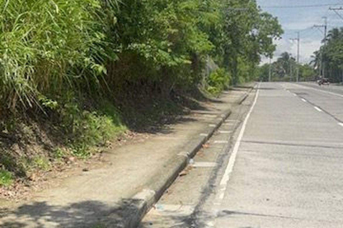 Land for Sale in Mangas I, Alfonso, Cavite – photo 4