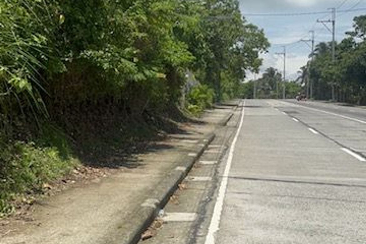 Land for Sale in Mangas I, Alfonso, Cavite – photo 5