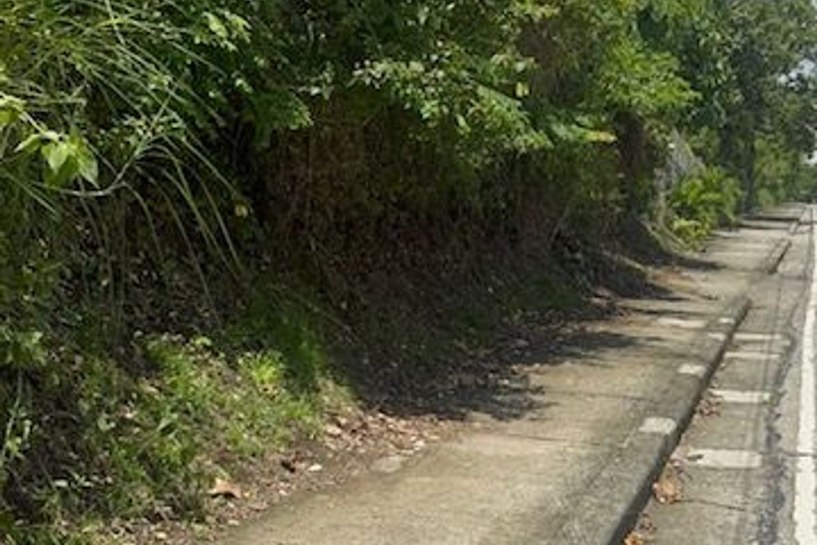 Land for Sale in Mangas I, Alfonso, Cavite – photo 6