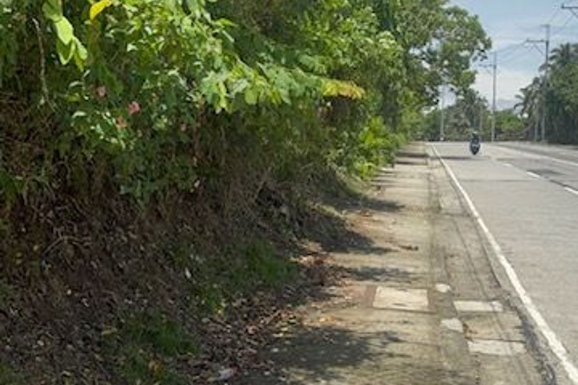 Land for Sale in Mangas I, Alfonso, Cavite – photo 7