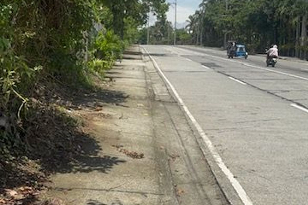 Land for Sale in Mangas I, Alfonso, Cavite – photo 8