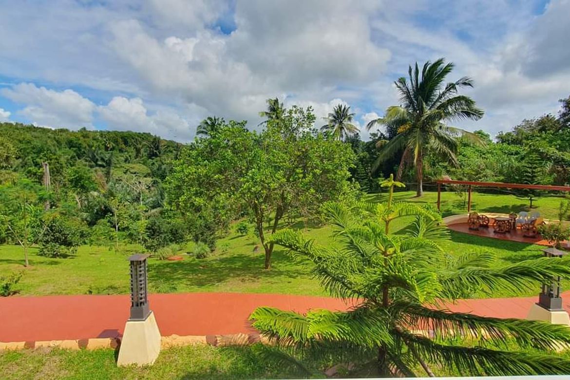 Land for Sale in Mangas II, Alfonso, Cavite – photo 2